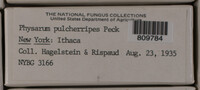 Image Associated With the Occurence